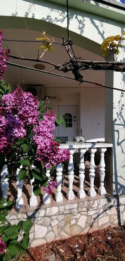 Olivera Apartments Pula Buitenkant foto
